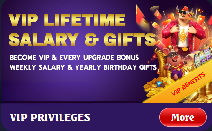 VIP LIFETIME SALARY AND GIFTS
